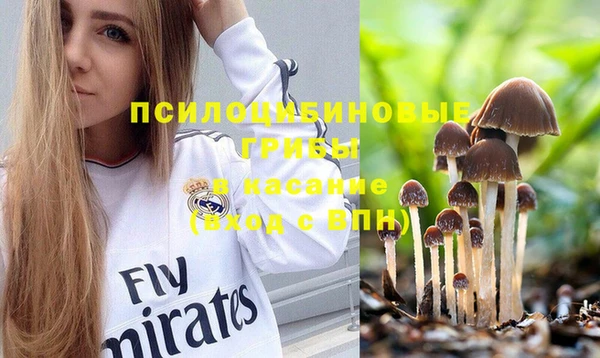 молекула духа Белокуриха