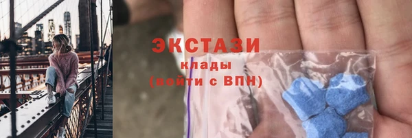 сатива Беломорск