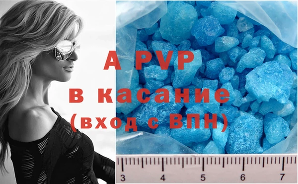 сатива Беломорск
