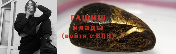 сатива Беломорск