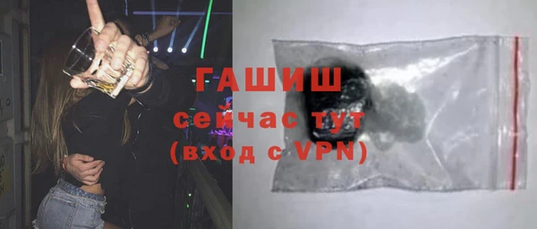 сатива Беломорск