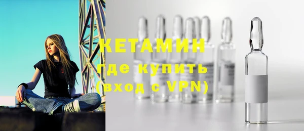 сатива Беломорск