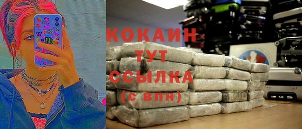 молекула духа Белокуриха