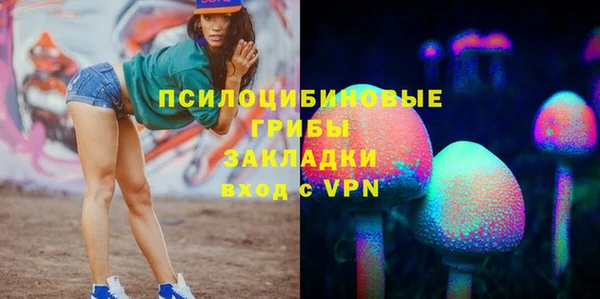 молекула духа Белокуриха